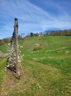 Photo de Anke Hetzer le long du parcours