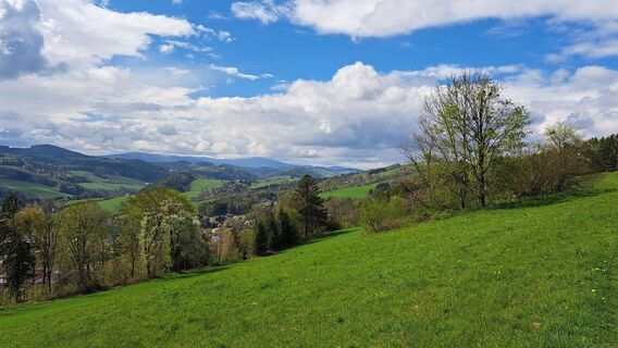 Photo de Roland Meitz le long du parcours