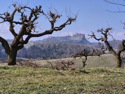 Foto von josef duermoser entlang der Tour