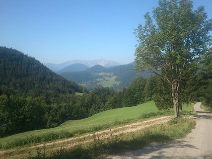 Blick zum Schneeberg