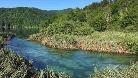 Photo de Lomalinda le long du parcours