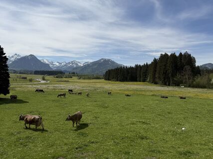 Foto de Dr. Katarzyna Milkowska-Leyck a lo largo del recorrido