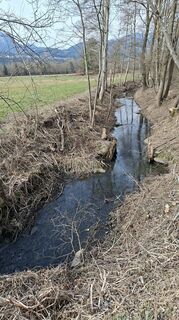 Photo de Mangolein le long du parcours