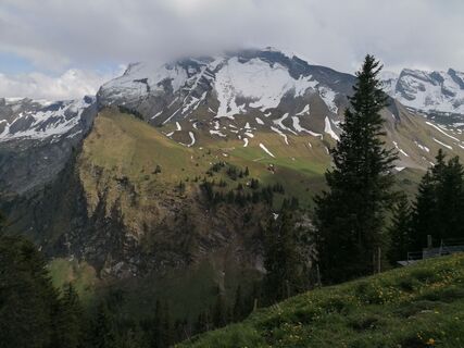 Fotó a luyyy honlapról a túra során