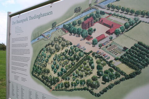 Baumpark Thedinghausen