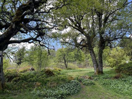 Fotografia z Sebastian na trase