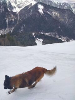 Foto de Delpyalain73 a lo largo del recorrido