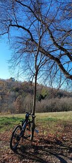 Fotografia z Martha Zeltner na trase