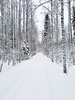 Autioniemen Winterroute, Paltamo