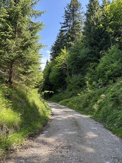Photo de Heinz Sperl le long du parcours