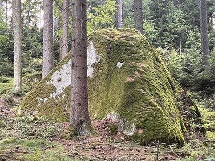Photo de Geologie le long du parcours
