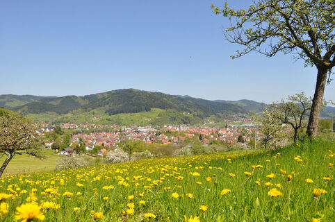Panoramablick vom "Schänzle"