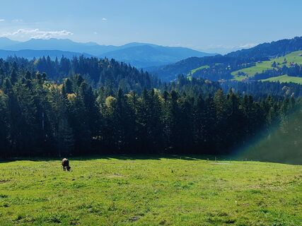 Foto von Skiprofessor entlang der Tour