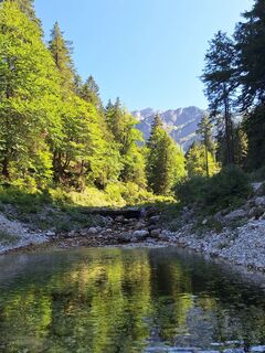 Fotografija s spletne strani Lena na poti