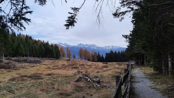 Foto von gf aktiv entlang der Tour