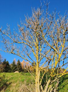 Photo de greinerin le long du parcours