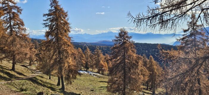 Fotografija s spletne strani Roswitha Polz na poti