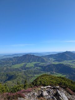 Kuva osoitteesta SFK matkan varrella
