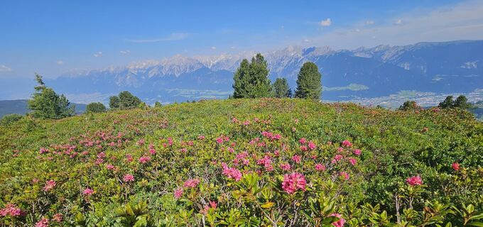 Foto von hannes.d entlang der Tour