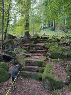 Fotografija s spletne strani Walle1968 na poti