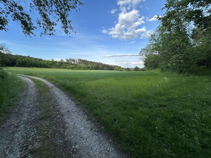 Foto von GeorgZ entlang der Tour