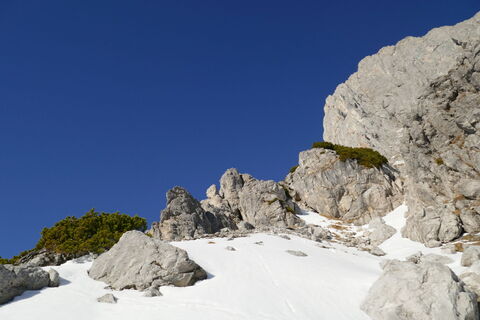 es geht weiter nach rechts und oberhalb der Felsen und Latschen wieder nach links