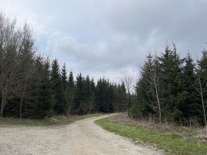 Fotografie de la Heinz Sperl de-a lungul turului