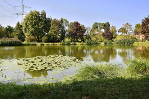 Erlensee 1