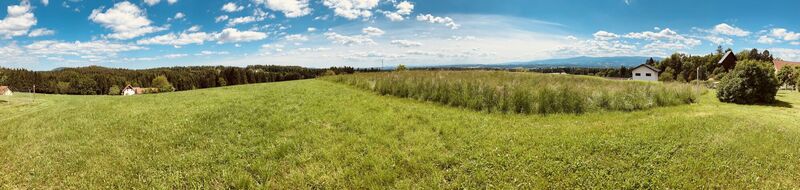 Fotografie de la Robert Gerard de-a lungul turului