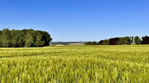 Foto von Les aventures de Ghislain entlang der Tour