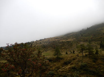 Erzherzog-Johann Hütte - Feistritz am Kammersberg