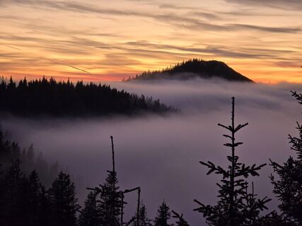 Foto von TwilightTea entlang der Tour