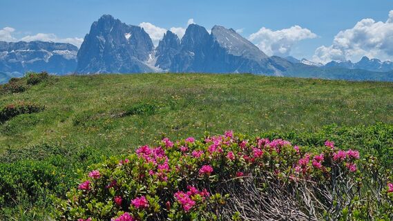 Foto von Astrid Bühler entlang der Tour
