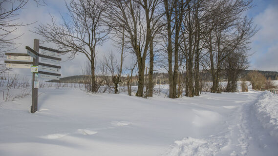 Winterwanderung in der Urlaubsregion Medebach
