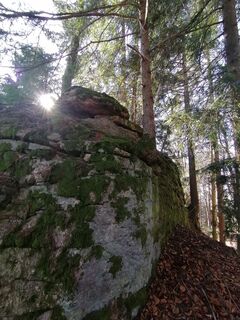 Foto von Wanderfux entlang der Tour