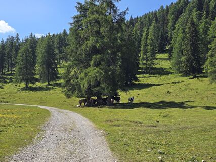 Fotografija s spletne strani enipeus 65 na poti