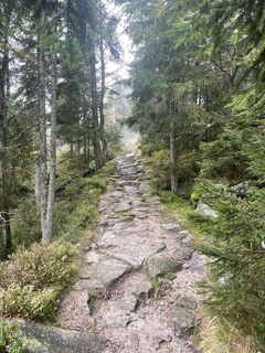 Foto von AlexanderK entlang der Tour
