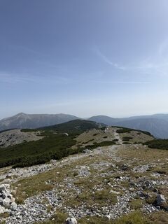 Fotografija s spletne strani Nico ?️ na poti