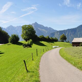 Die Hochebene Salen