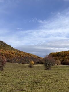 Foto de Márta Harangozó a lo largo del recorrido