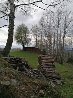 Foto von Dagmar Hofer entlang der Tour
