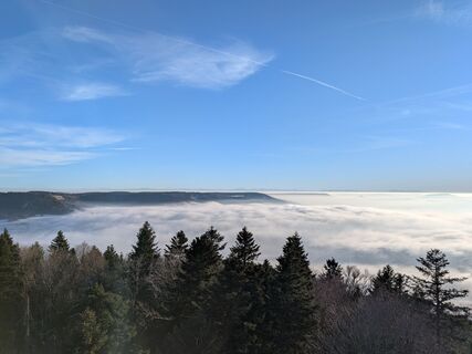Fotografija s spletne strani Sabrina Hackel na poti