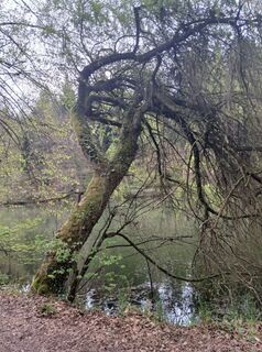 Fotografija s spletne strani Andrea Escher na poti