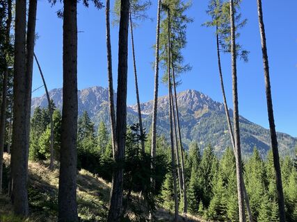 Foto van andrea calabria langs de tour