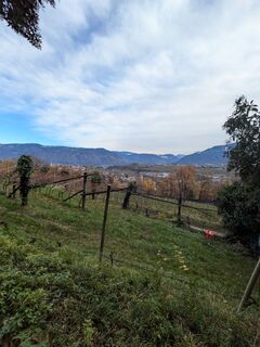 Photo de Martin Glaser le long du parcours