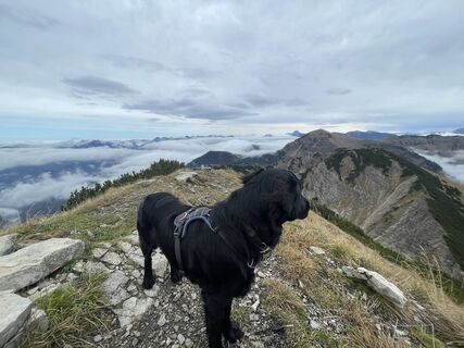 Photo de christian.roeckl le long du parcours