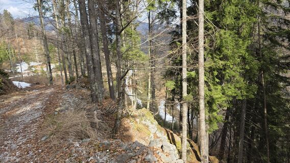 Foto von euterpe42 entlang der Tour