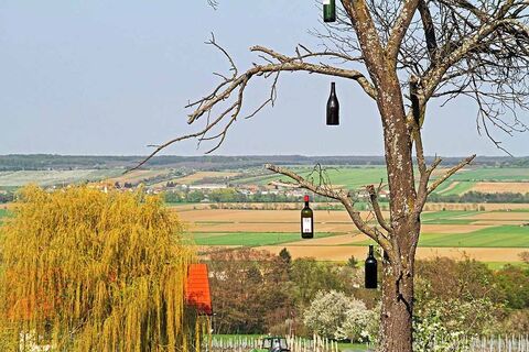 Deutsch Schützener Weinberg 1