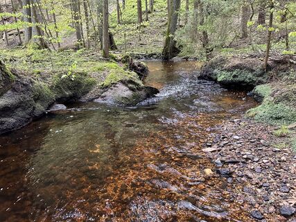 Foto de Norbert Herbig a lo largo del recorrido