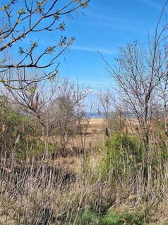 Foto de Mimi a lo largo del recorrido